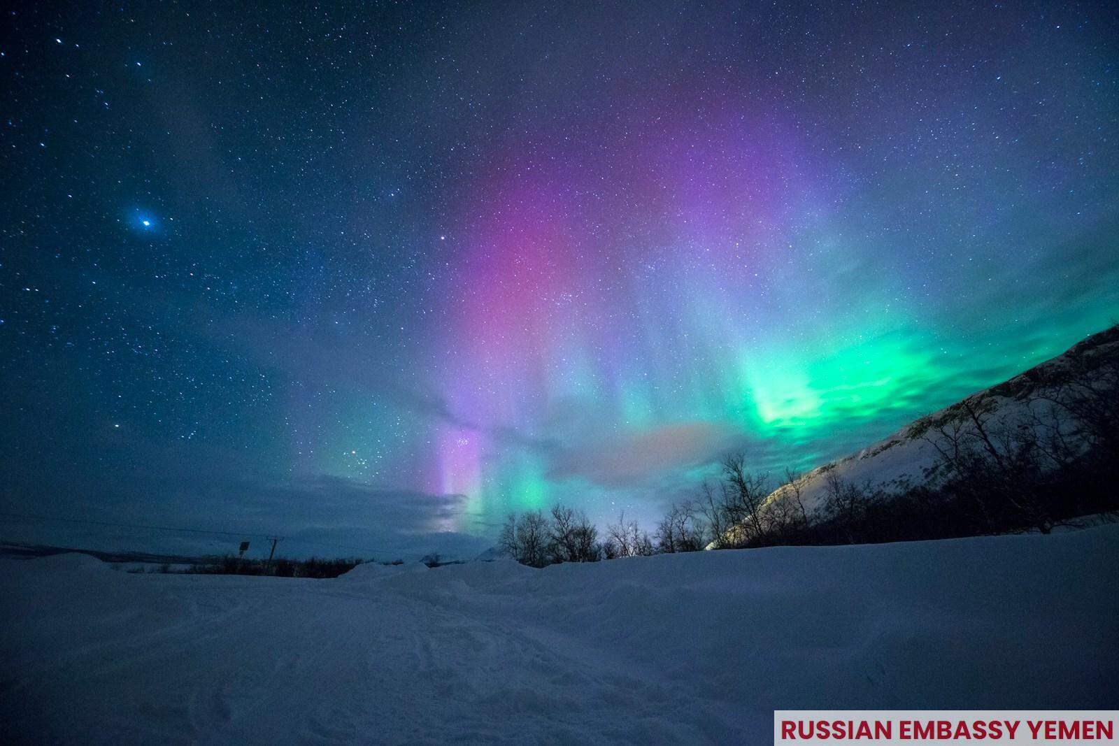 ¿Qué son las auroras boreales?